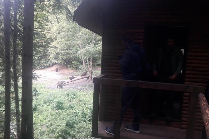 Bear Watching in the Wild From Brasov - Booking Confirmation and Payment