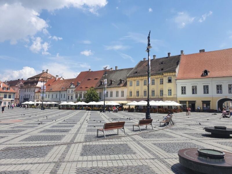 Bears Sanctuary, Bran Castle and Brasov City - Private Tour - Libearty Bear Sanctuary