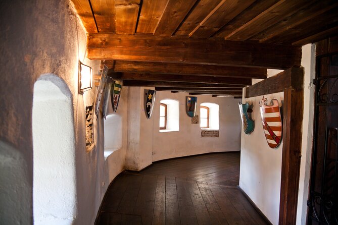 Bears Sanctuary, Dracula Castle and Poiana Brasov-Private Day Tour From Brasov - Bears in the Oak Forest