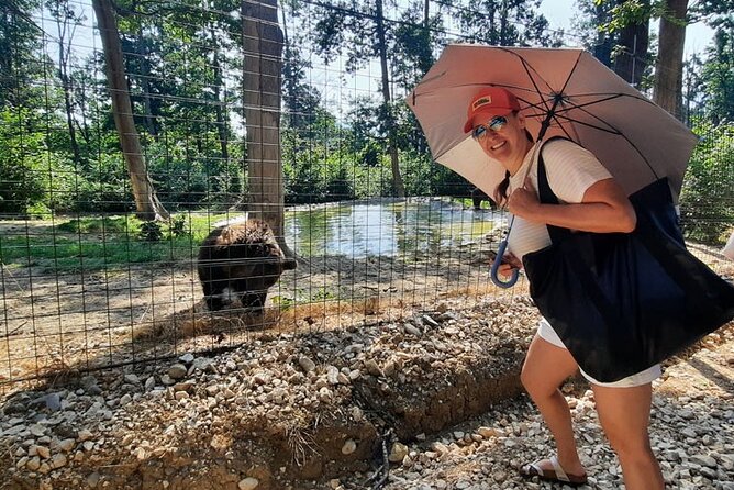 Bears Sanctuary, Dracula Castle and Poiana Brasov-Private Day Tour From Brasov - Poiana Brasov Resort