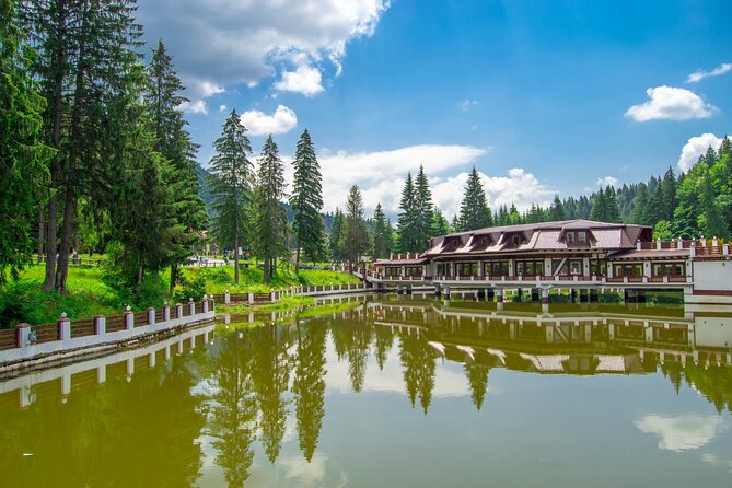 Bears Sanctuary, Dracula Castle and Poiana Brasov-Private Day Tour From Brasov - Booking and Additional Information