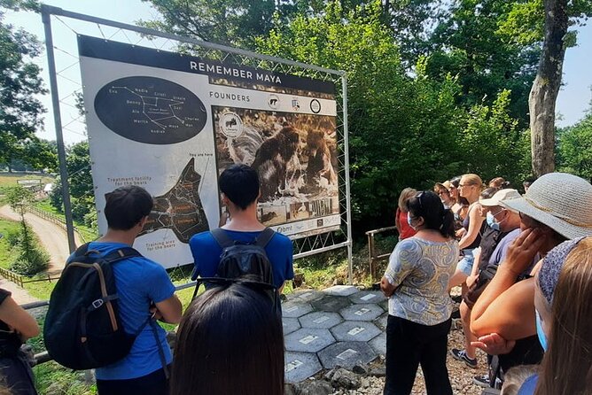 Bears Sanctuary, Dracula Castle and Poiana Brasov-Private Day Tour From Brasov - Overall Ratings and Reviews