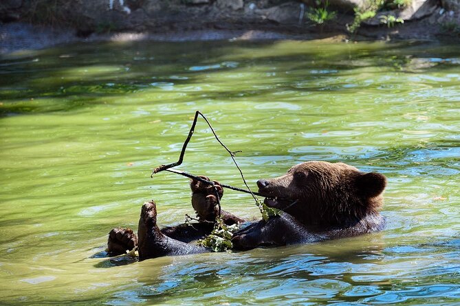 Bears Sanctuary & Dracula Castle - Tickets Included - Tour Inclusions