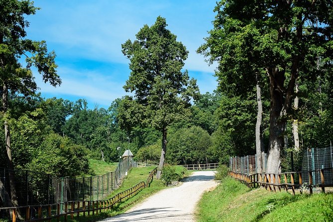 Bears Sanctuary & Dracula Castle - Tickets Included - Booking Information