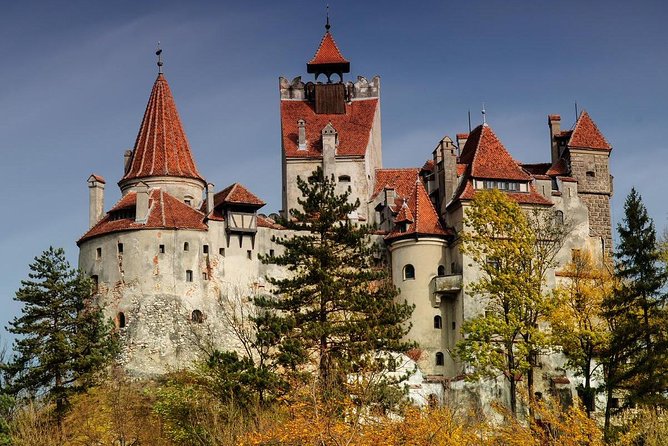 Bears Sanctuary Zarnesti, Bran Castle, Moieciu Village, Rasnov Fortress - Attractions