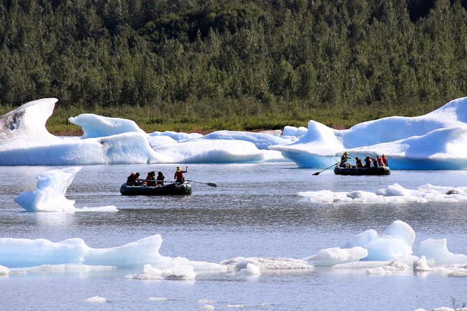 Bears, Trains & Icebergs Tour - Included Activities