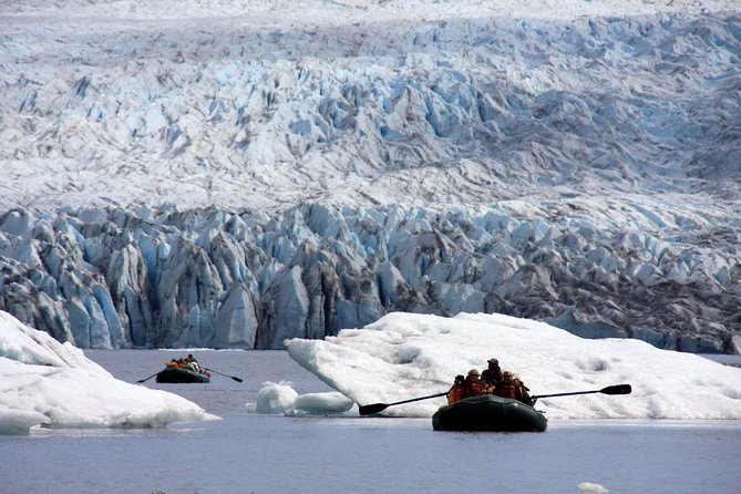 Bears, Trains & Icebergs Tour - Provided Amenities