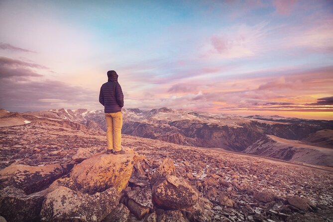 Beartooth Highway Private Half Day Tour - Wildlife Viewing Opportunities
