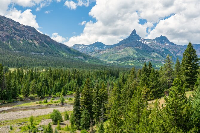 Beartooth Highway Private Half Day Tour - Tour Inclusions and Amenities