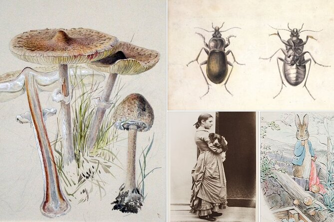 Beatrix Potter - Half Day - Up to 8 People - Booking and Cancellation Policy