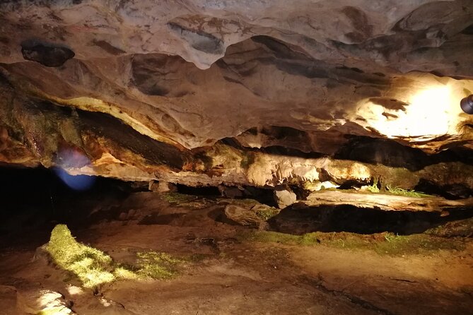 Beatus Caves, Panoramic Bridge, Nature Park Blue Lake and Lake Thun Cruise - Scenic Suspension Bridge