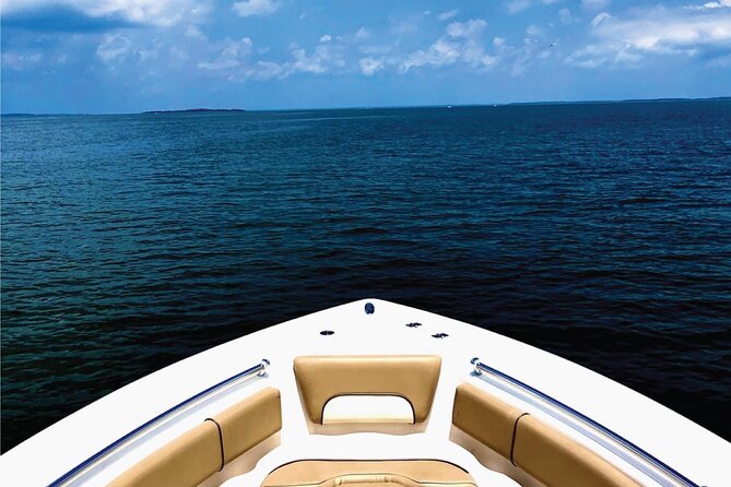 Beaufort Private Dolphin Excursions - Pricing and Reservation Options