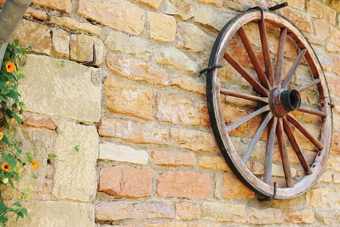 Beaujolais Half Day - Wine Tasting and Learning