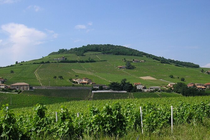Beaujolais Half Day Wine Tasting Tour - Destinations and Highlights