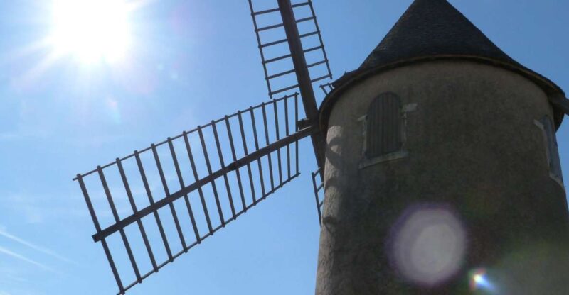 Beaujolais: Half-Day Wine Tour - Château De Pizay Winemaking Culture