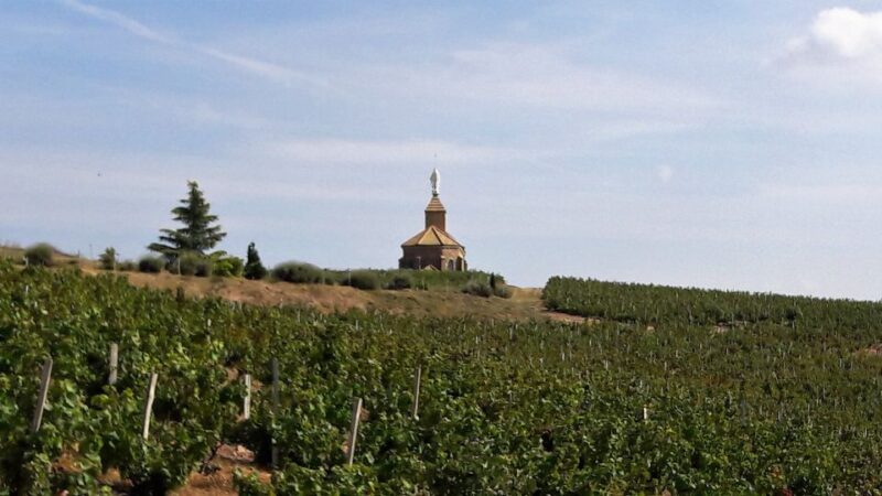 Beaujolais: Half-Day Wine Tour - Château De Pizay Wine Tasting