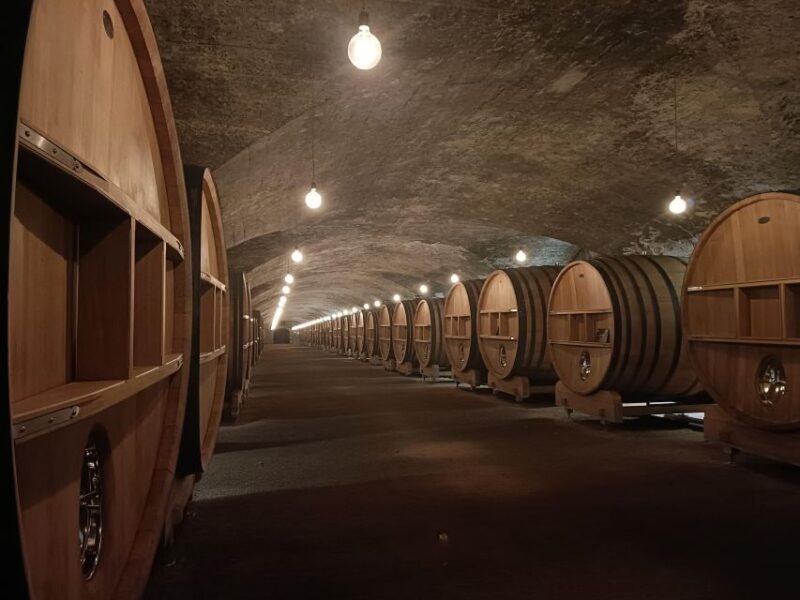 Beaujolais - Pérouges: Full Day Shared Trip - Inclusions and Exclusions of the Trip