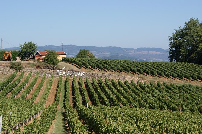 Beaujolais & Perouges Medieval Town (9:00 Am to 5:15 Pm - Small Group Tour Lyon - Wine Experience