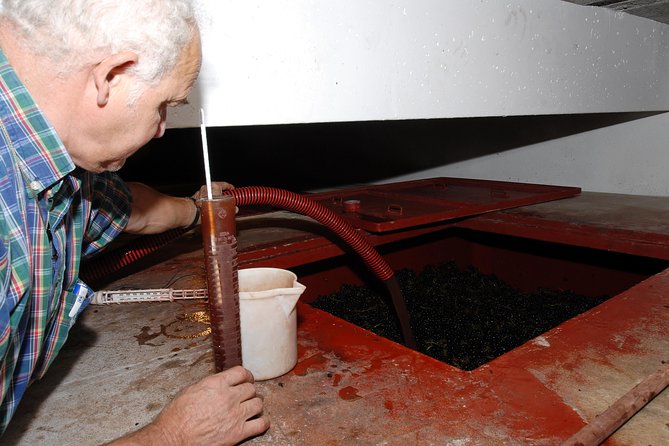 Beaujolais & Perouges Medieval Town (9:00 Am to 5:15 Pm - Small Group Tour Lyon - Return Journey