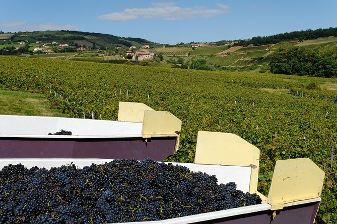Beaujolais & Perouges Medieval Town (9:00 Am to 5:15 Pm - Small Group Tour Lyon - Inclusions and Exclusions