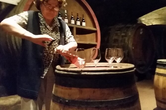 Beaujolais Region Wine Tasting Private Day Tour From Lyon - Quick Points
