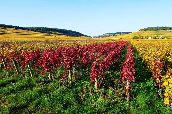 Beaujolais & South Burgundy : Private Full Day - Professional Guide Services