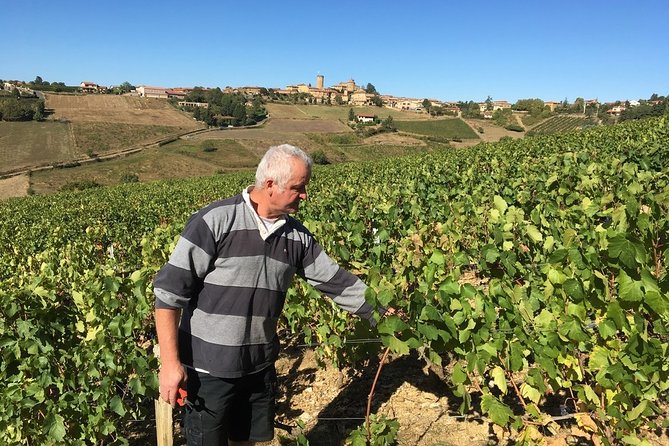 Beaujolais Wine Discovery - Private Tour - Half Day - What to Expect During the Tour