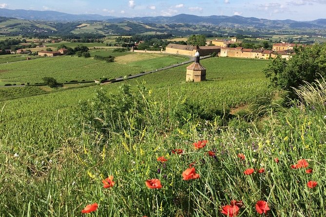 Beaujolais Wine Discovery - Private Tour - Half Day - Luxury Mercedes Minivan Transportation
