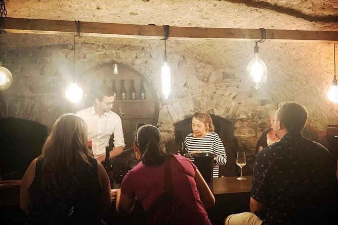 Beaujolais Wine Tasting - Winemaker Introductions