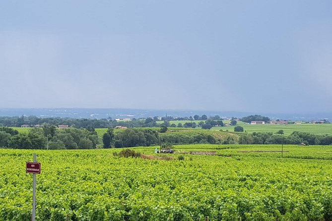 Beaujolais Wine Tasting - Worth The Stay