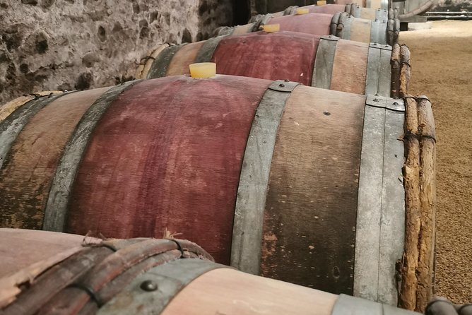 Beaujolais Wine Tasting Day Tour From Lyon - Tour Experience and Feedback