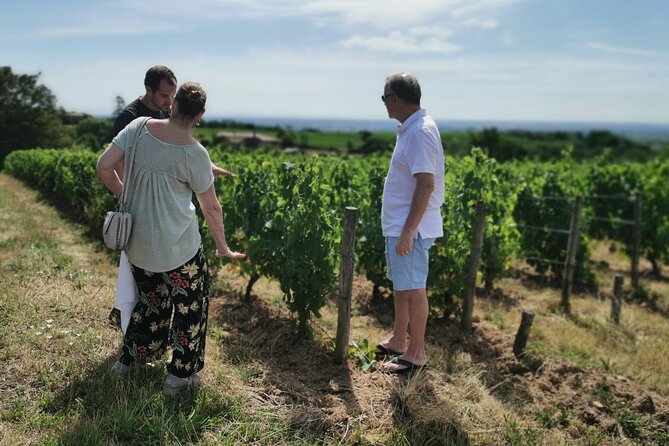 Beaujolais Wine Tasting Day Tour From Lyon - Winery Experiences