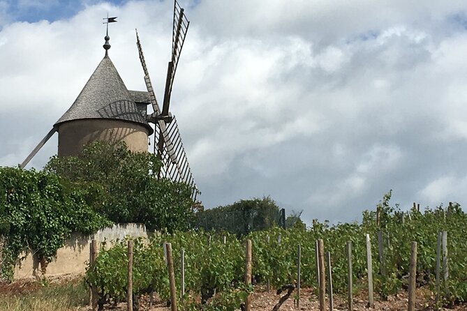 Beaujolais Wine Tasting Day Tour From Lyon - Culinary Offerings