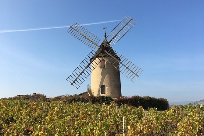Beaujolais Wines & Castles - Private Tour - Half Day - Transportation and Accessibility