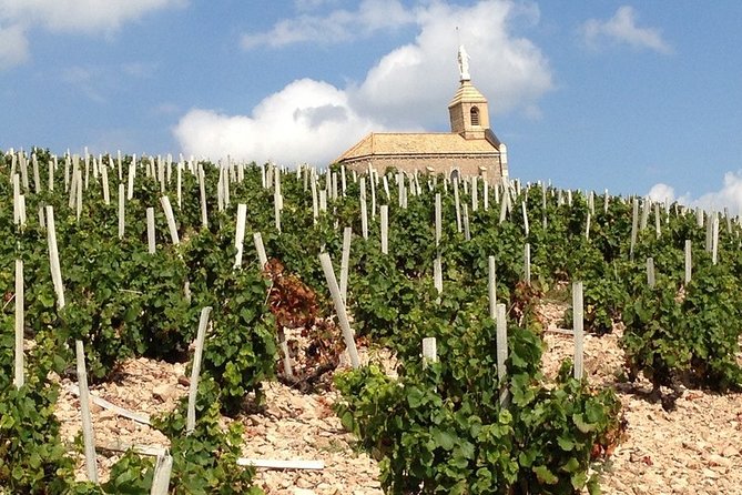 Beaujolais Wines & Castles - Private Tour - Half Day - Pricing and Cancellation Policy