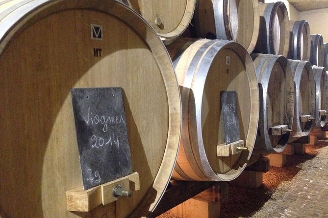 Beaujolais Wines & Castles - Private Tour - Half Day - Guest Reviews and Feedback