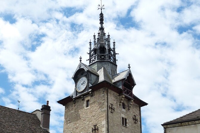 Beaune - Historic Guided Walking Tour - Inclusions