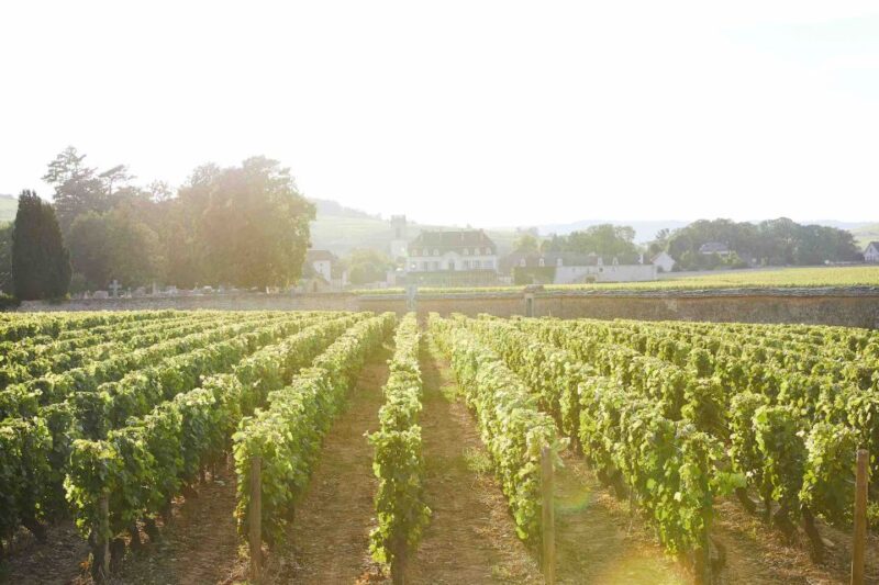 Beaune: Wine Tasting at Château De Pommard - Key Points