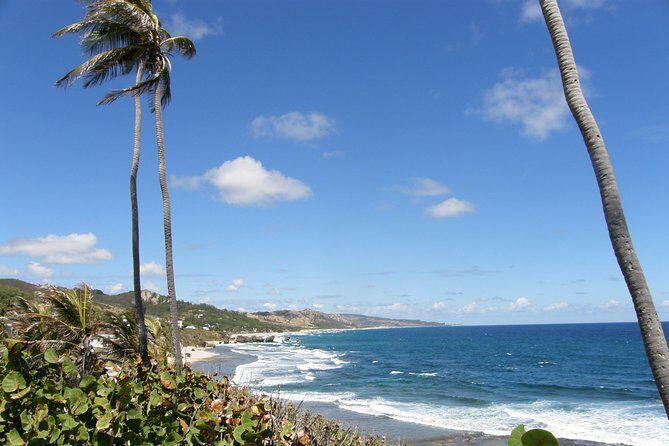 Beautiful Coastal Sightseeing Tour of Barbados - Who Would Love This Tour?