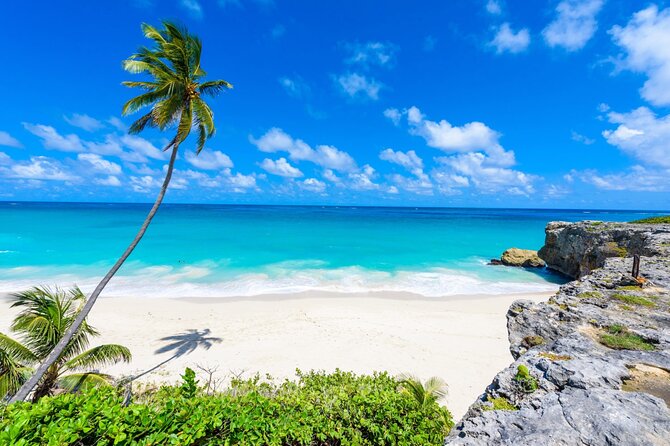 Beautiful Coastal Sightseeing Tour of Barbados - Included Amenities