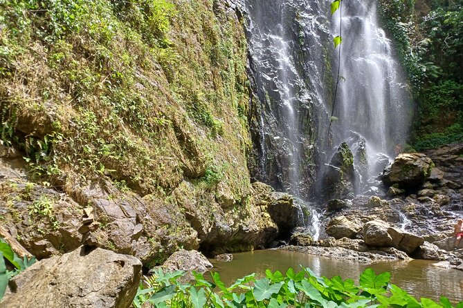 Beautiful Forest Hike to a Gorgeous Waterfall - About Your Stay