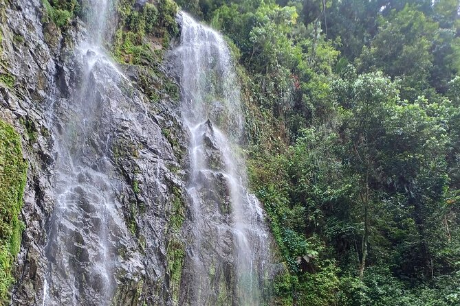 Beautiful Forest Hike to a Gorgeous Waterfall - What to Expect