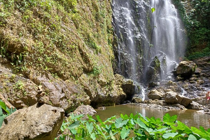 Beautiful Forest Hike to a Gorgeous Waterfall - Getting There and Returning