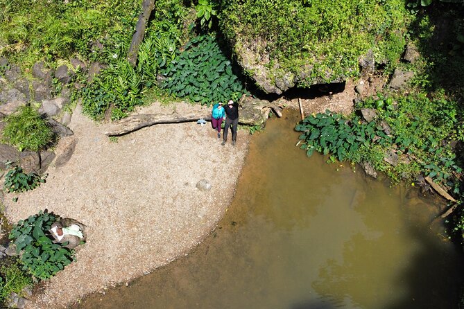 Beautiful Forest Hike to a Gorgeous Waterfall - Booking Your Stay