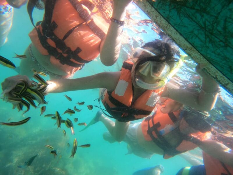Beautiful Island of Ixtapa - Highlights of the Tour