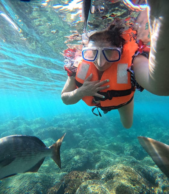 Beautiful Island of Ixtapa - Cancellation Policy