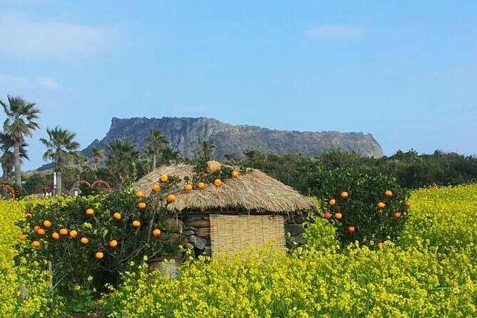 Beautiful Jeju Island Private UNESCO day Tour - Key Points