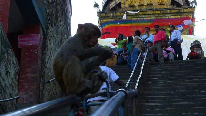Beautiful Kathmandu Heritage Sightseeing Tour - 1 Day - Additional Considerations