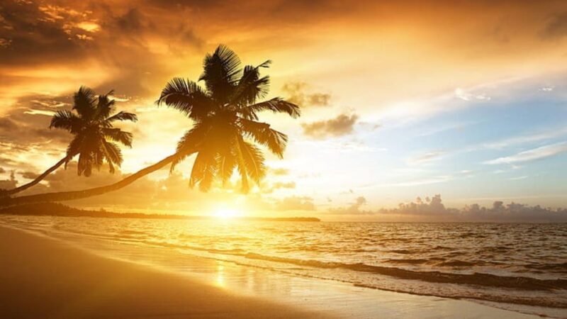 Beautiful, Mararikulam Beach Tour (02 Nights / 03 Days) - Inclusions