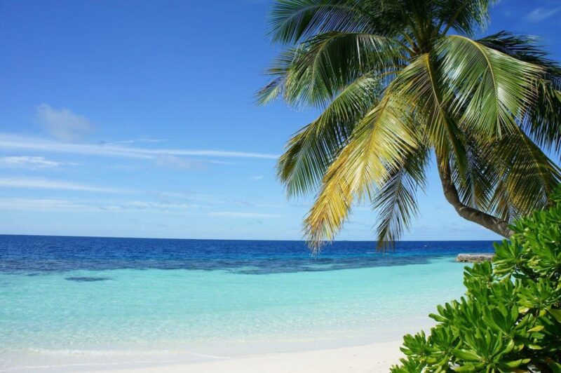 Beautiful, Mararikulam Beach Tour (02 Nights / 03 Days) - Important Information